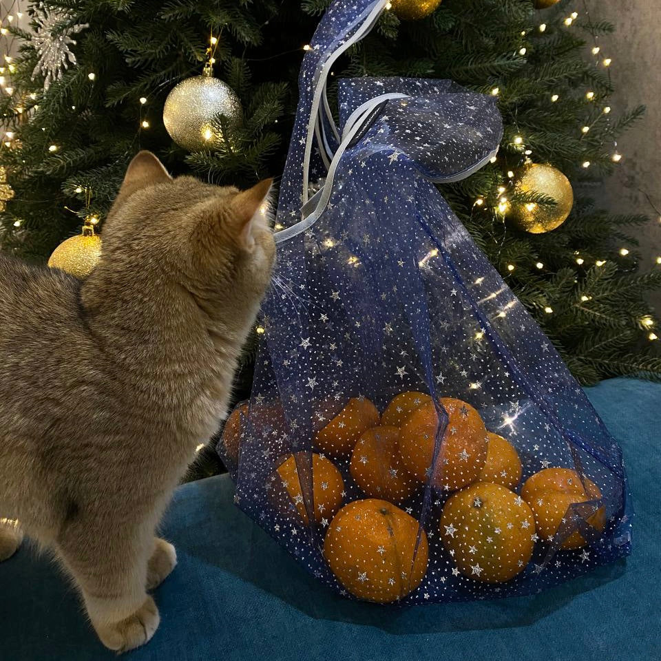 Blue transparent shopping bag